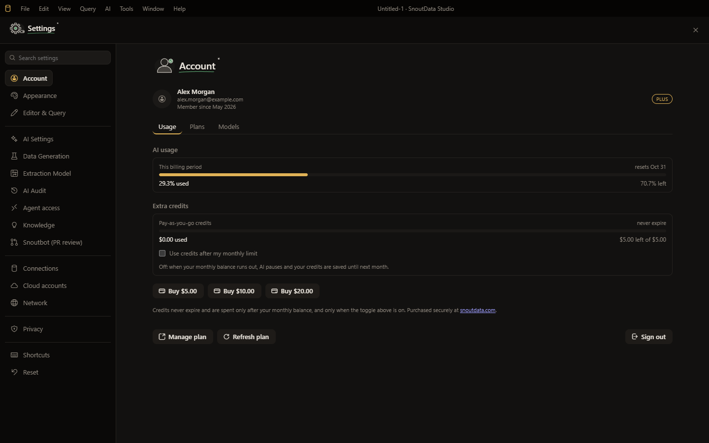 The account settings panel: plan badge, AI usage for the billing period, and credits