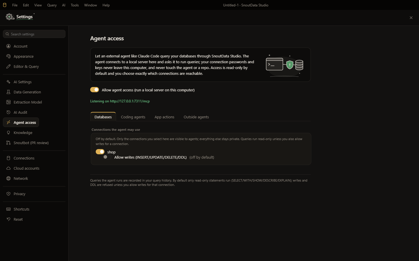 The Agent access settings: local server, per-connection access, and the MCP config