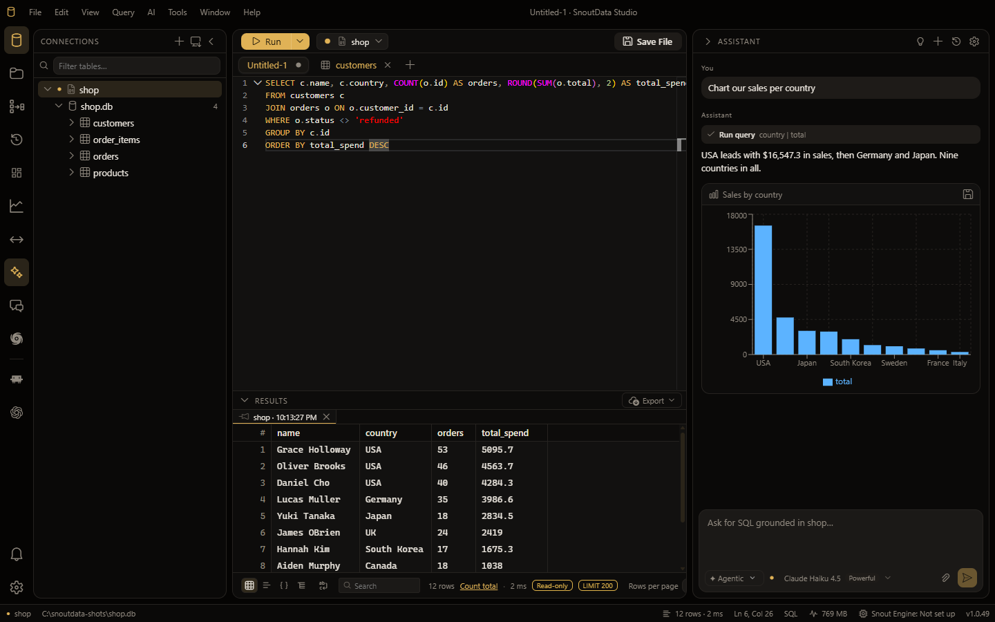 SnoutData Studio: editor, results grid, charts, and the AI assistant in one window