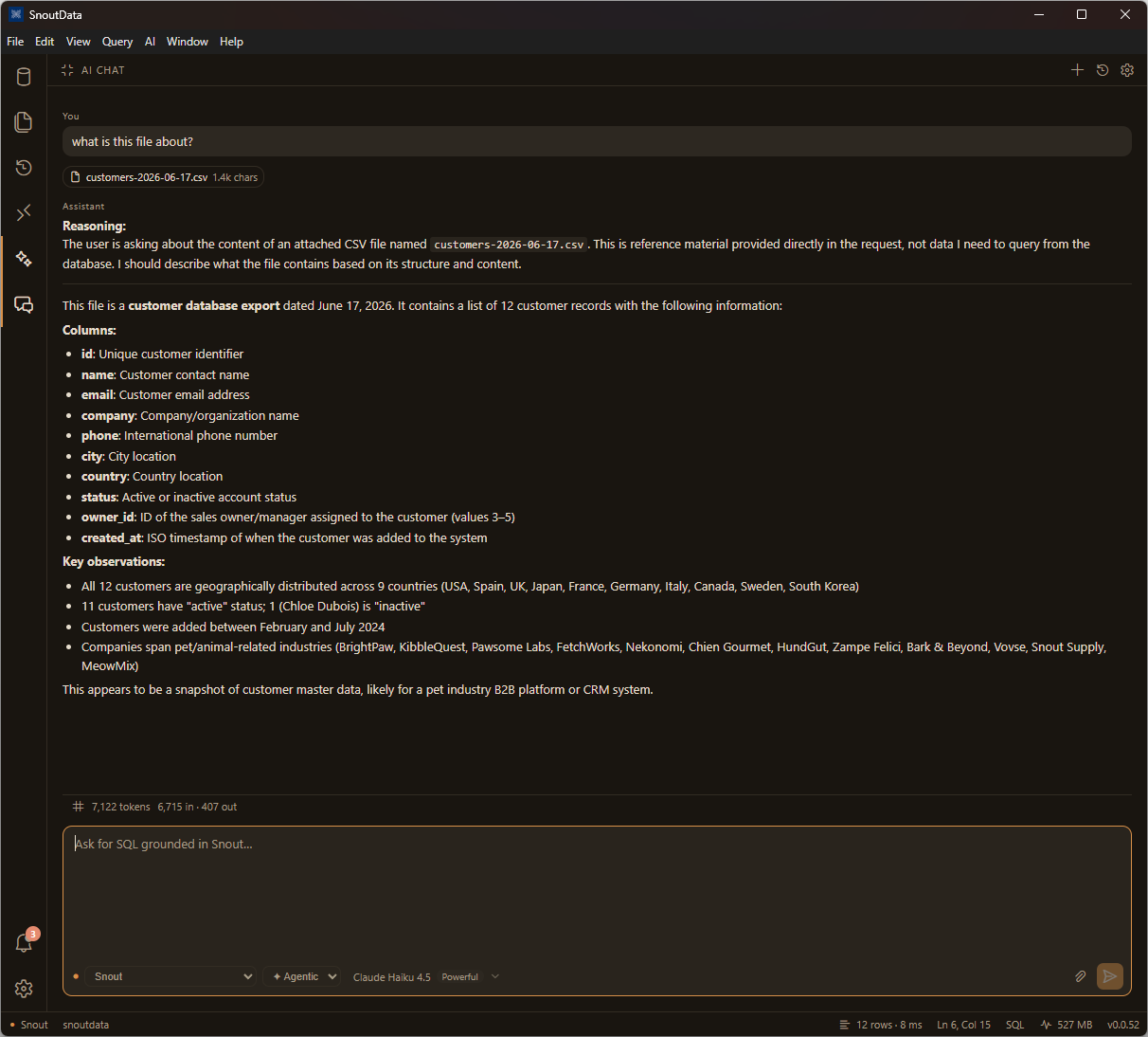 The assistant describing an attached CSV file