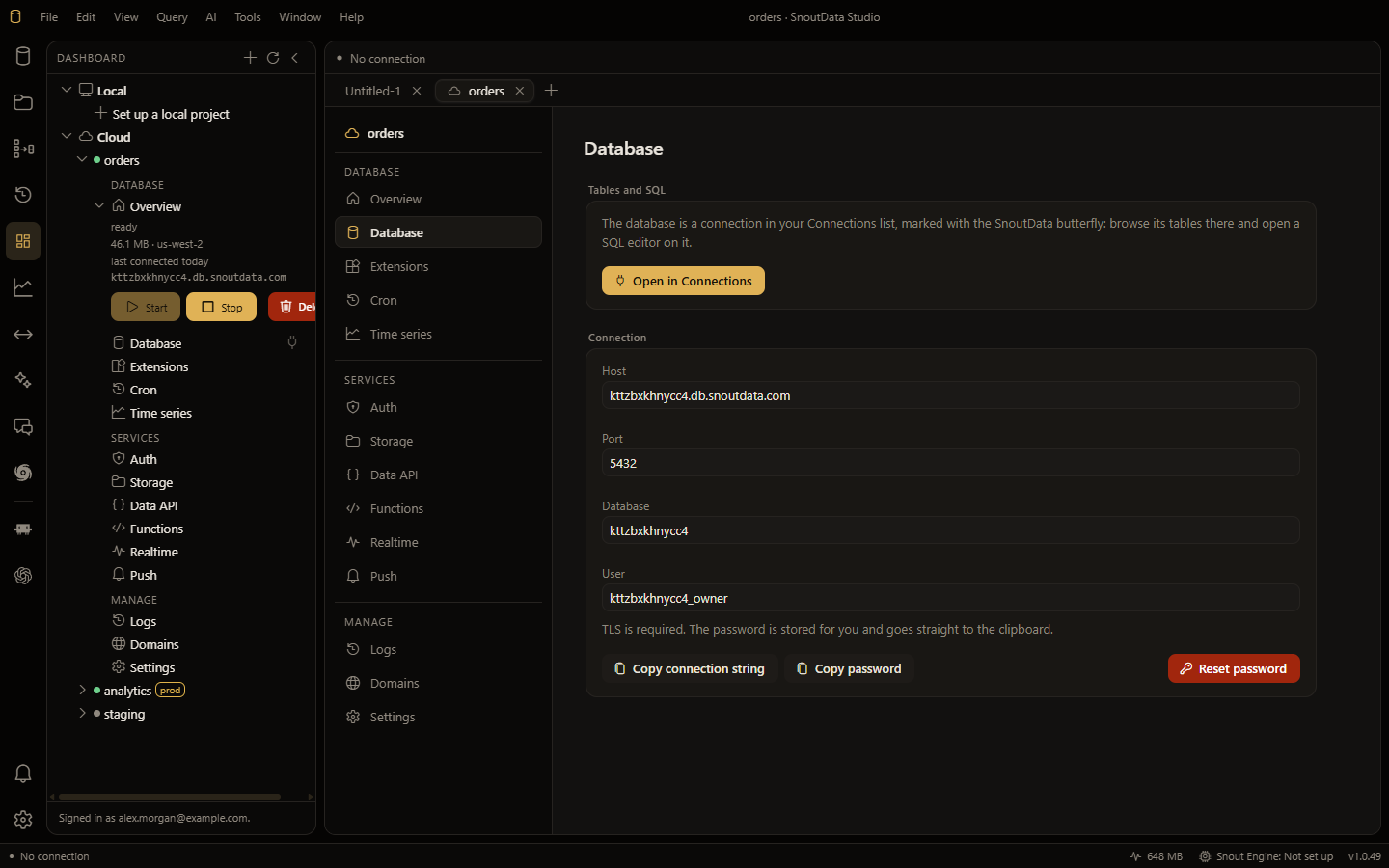 A project's Database section: Open in Connections, then the host, port, database and user, with Copy connection string, Copy password and Reset password